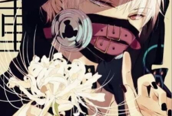 动漫 欧美,跨越国界的文化盛宴