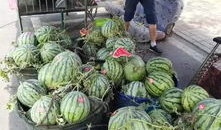 凉山吃瓜爆料事件真相,揭秘背后真相与反思