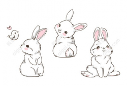 动漫兔子,兔子动漫的奇幻之旅