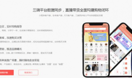 提供短视频带货,轻松打造爆款，开启电商新篇章