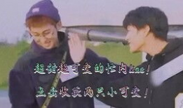 浪漫短视频大全,短视频中的爱情盛宴