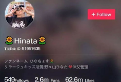 亚洲日本短视频,捕捉东方魅力瞬间
