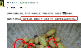 新土豆 短视频,探秘土豆新吃法，创意无限美食秀