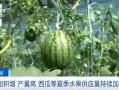 张凌赫最新吃瓜爆料,揭秘娱乐圈不为人知的幕后真相