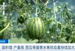 张凌赫最新吃瓜爆料,揭秘娱乐圈不为人知的幕后真相