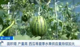张凌赫最新吃瓜爆料,揭秘娱乐圈不为人知的幕后真相
