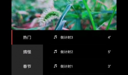 手机自制短视频,创意无限，轻松制作精彩内容