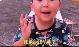 搞笑动态短视频,让你笑到肚子疼