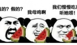 吃瓜百科搞笑爆料,爆笑爆料，娱乐圈那些事儿