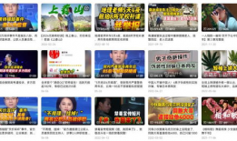 新闻类短视频,新闻概述呈现精彩瞬间
