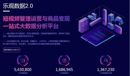 短视频分析平台,洞察趋势，解锁内容营销新秘籍